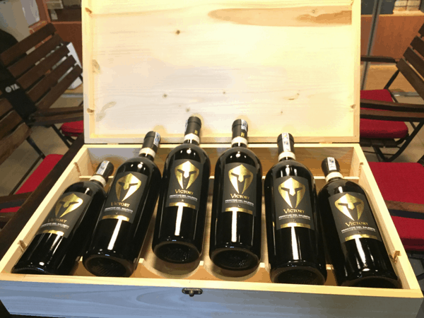 vang y victory primitivo del salento