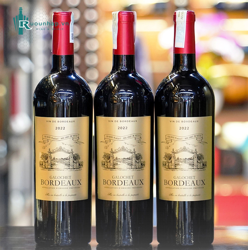 Rượu Vang Chateau Galochet Bordeaux 6 Rượu Vang Chateau Galochet Bordeaux