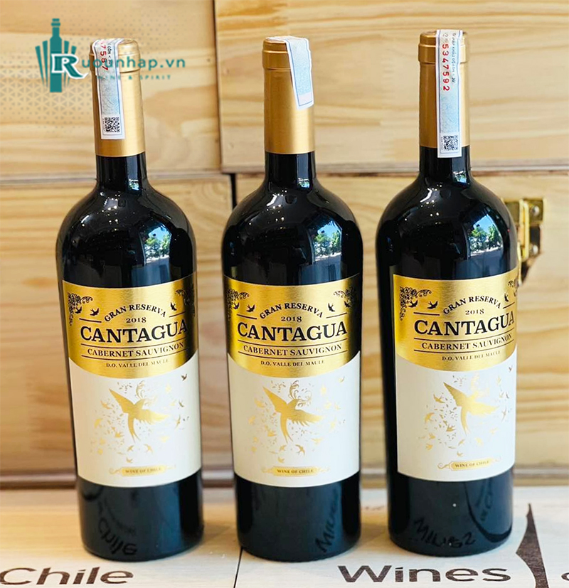 Rượu Vang Cantagua Gran Reserva Cabernet Sauvignon