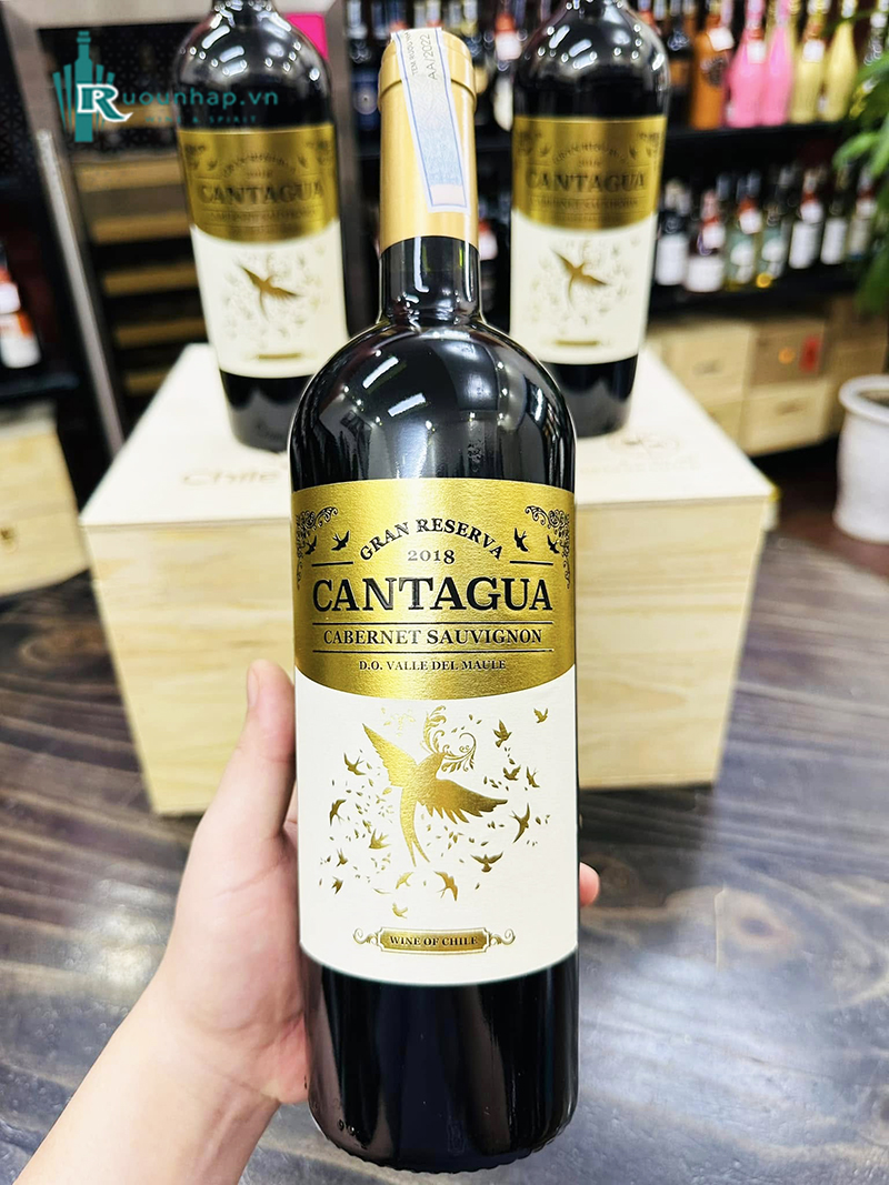 Rượu Vang Cantagua Gran Reserva Cabernet Sauvignon