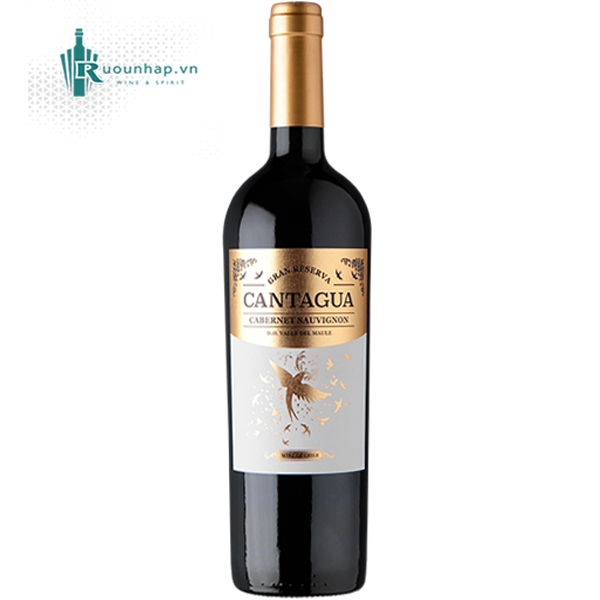 Rượu Vang Cantagua Gran Reserva Cabernet Sauvignon