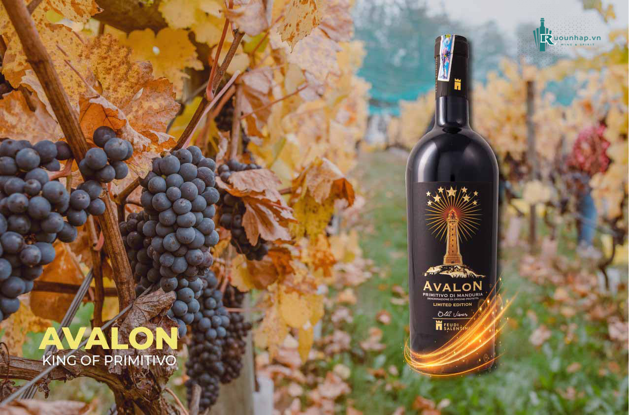 Rượu Vang Avalon Primitivo Di Manduria
