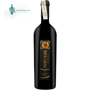 Rượu Vang Plinius Maior Primitivo di Manduria