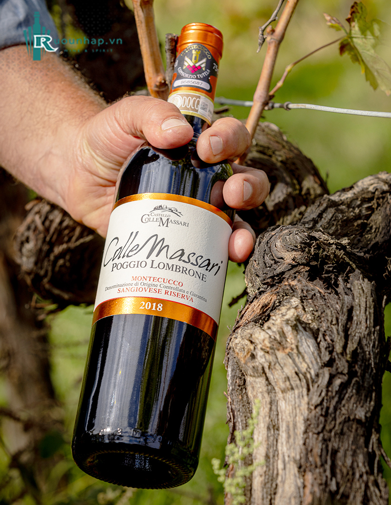 Rượu Vang ColleMassari Poggio Lombrone Montecucco Sangiovese Riserva 6 Rượu Vang ColleMassari Poggio Lombrone Montecucco Sangiovese Riserva