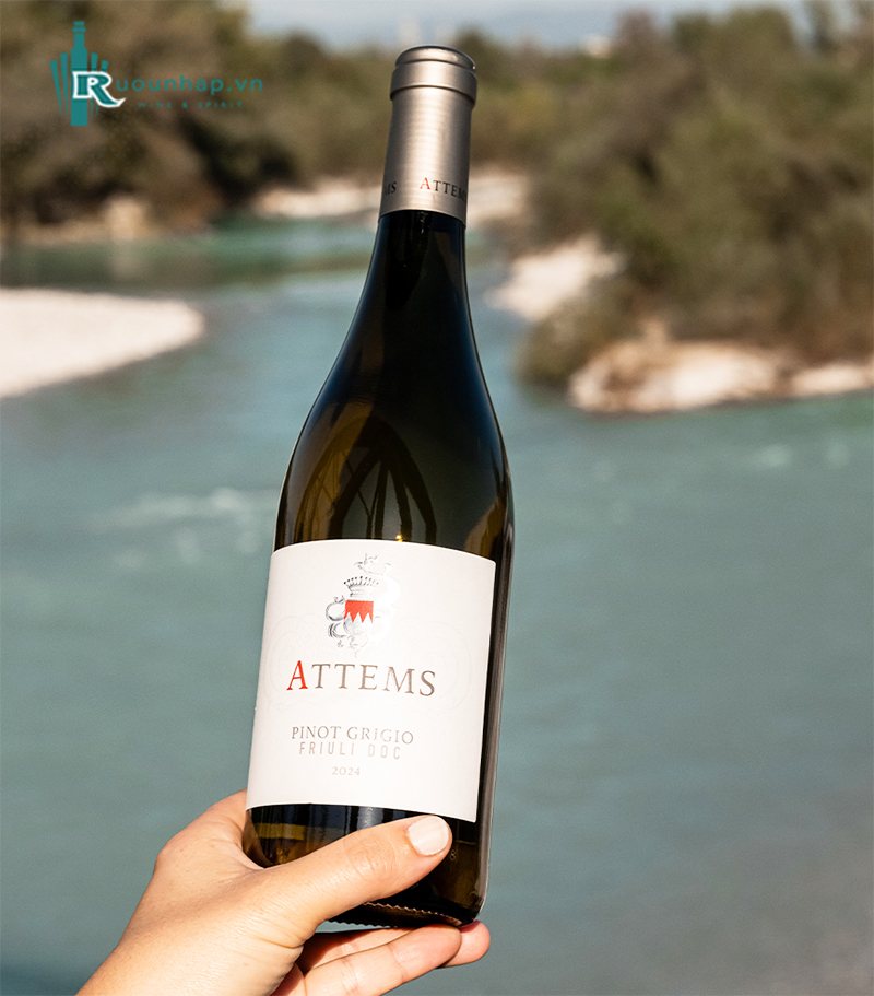Rượu Vang Attems Pinot Grigio 5 Rượu Vang Attems Pinot Grigio