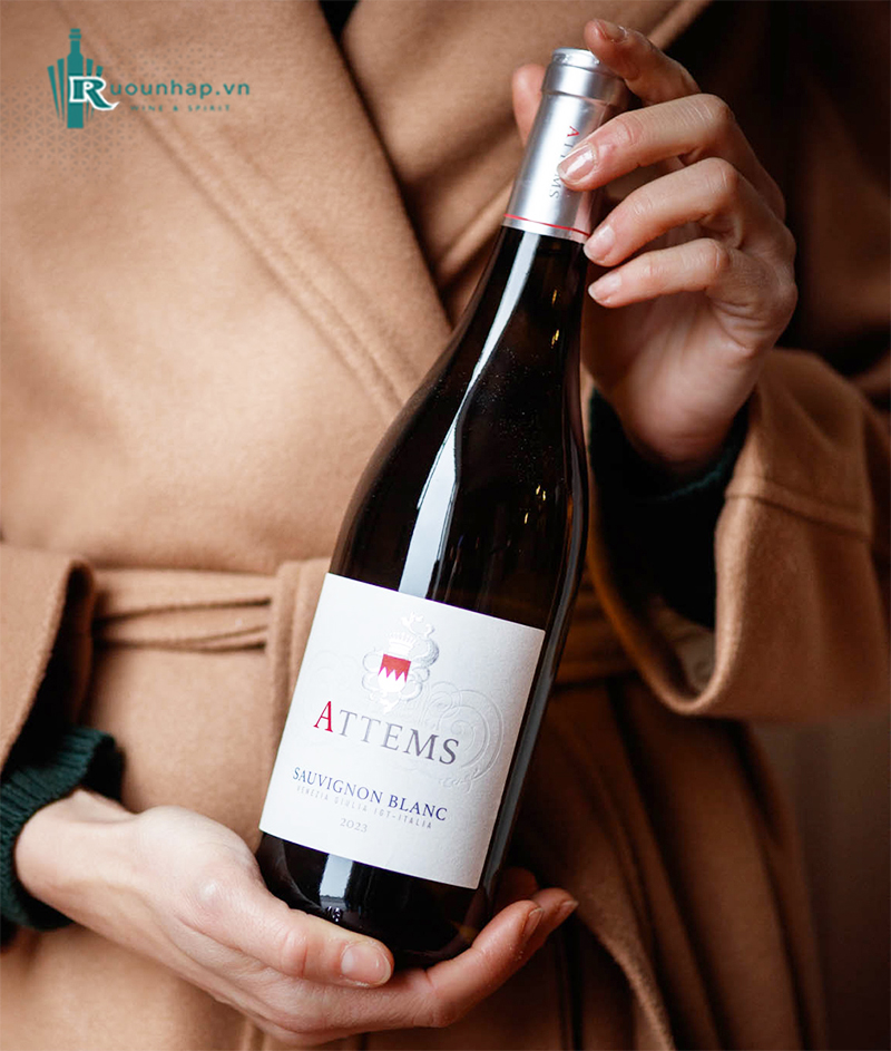 Rượu Vang Attems Sauvignon Blanc 6 Rượu Vang Attems Sauvignon Blanc