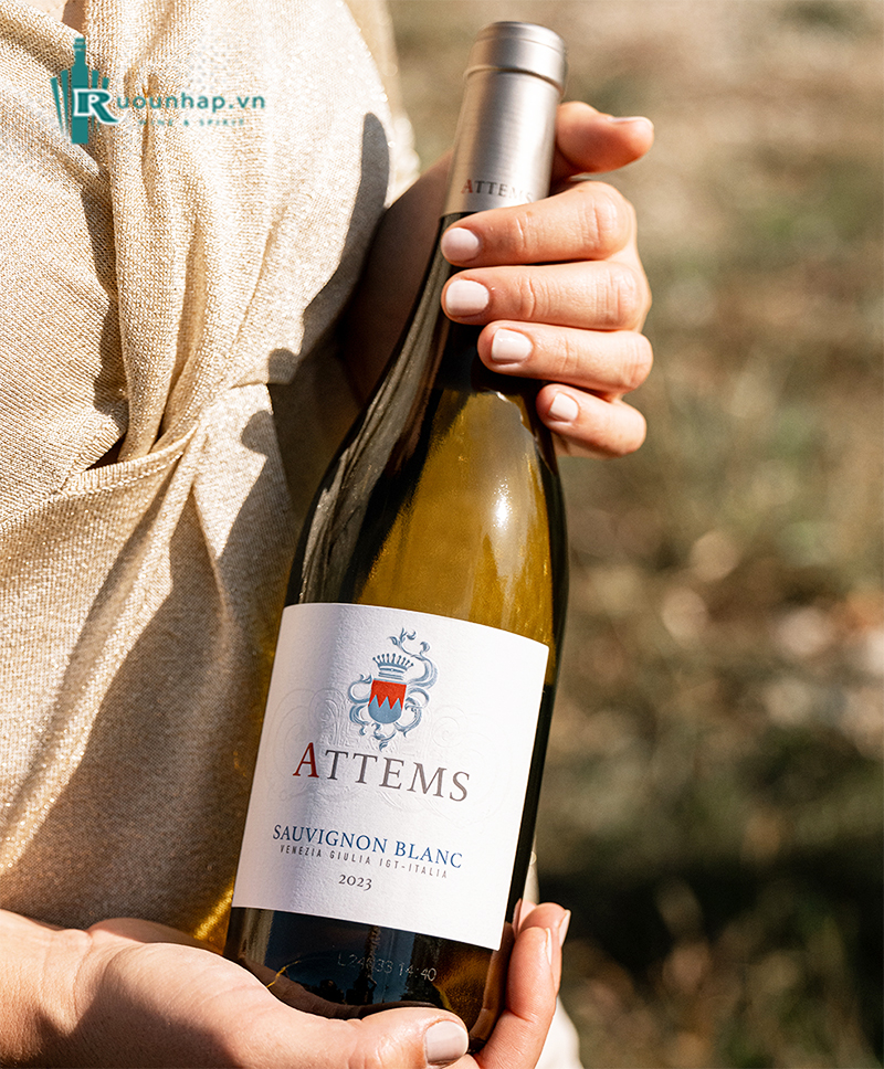 Rượu Vang Attems Sauvignon Blanc 4 Rượu Vang Attems Sauvignon Blanc