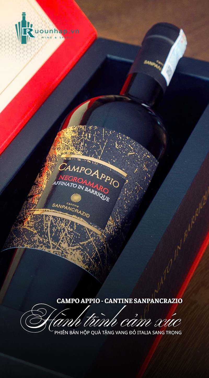 Rượu Vang Campo Appio Negroamaro 6 Rượu Vang Campo Appio Negroamaro