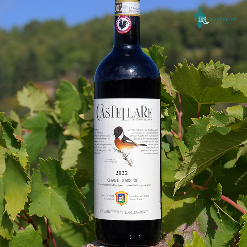 Rượu Vang Castellare Di Castellina Chianti Classico