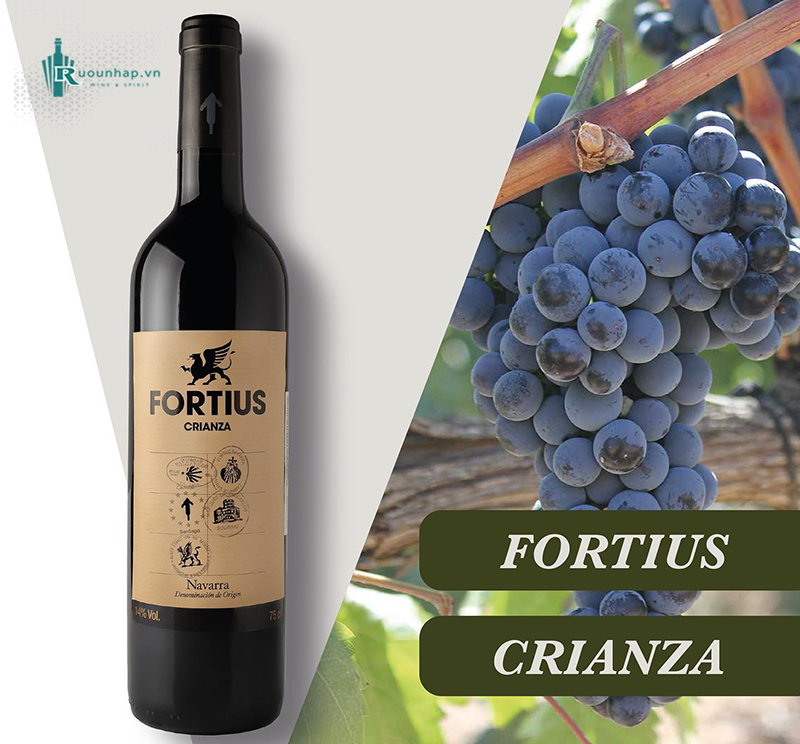 Rượu Vang Fortius Crianza