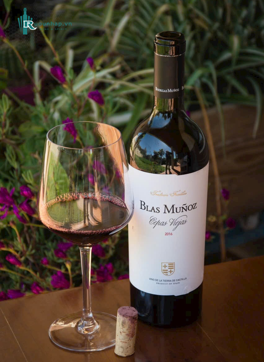 Rượu Vang Blas Munoz Cepas Viejas