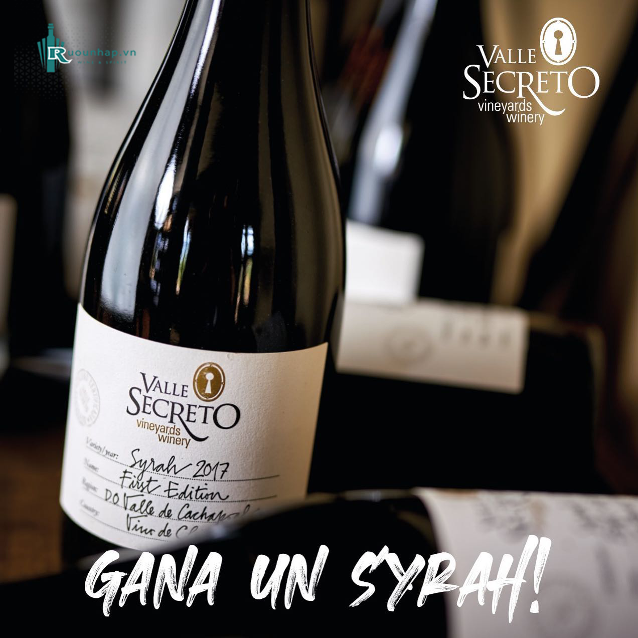 Rượu Vang Valle Secreto First Edition Syrah