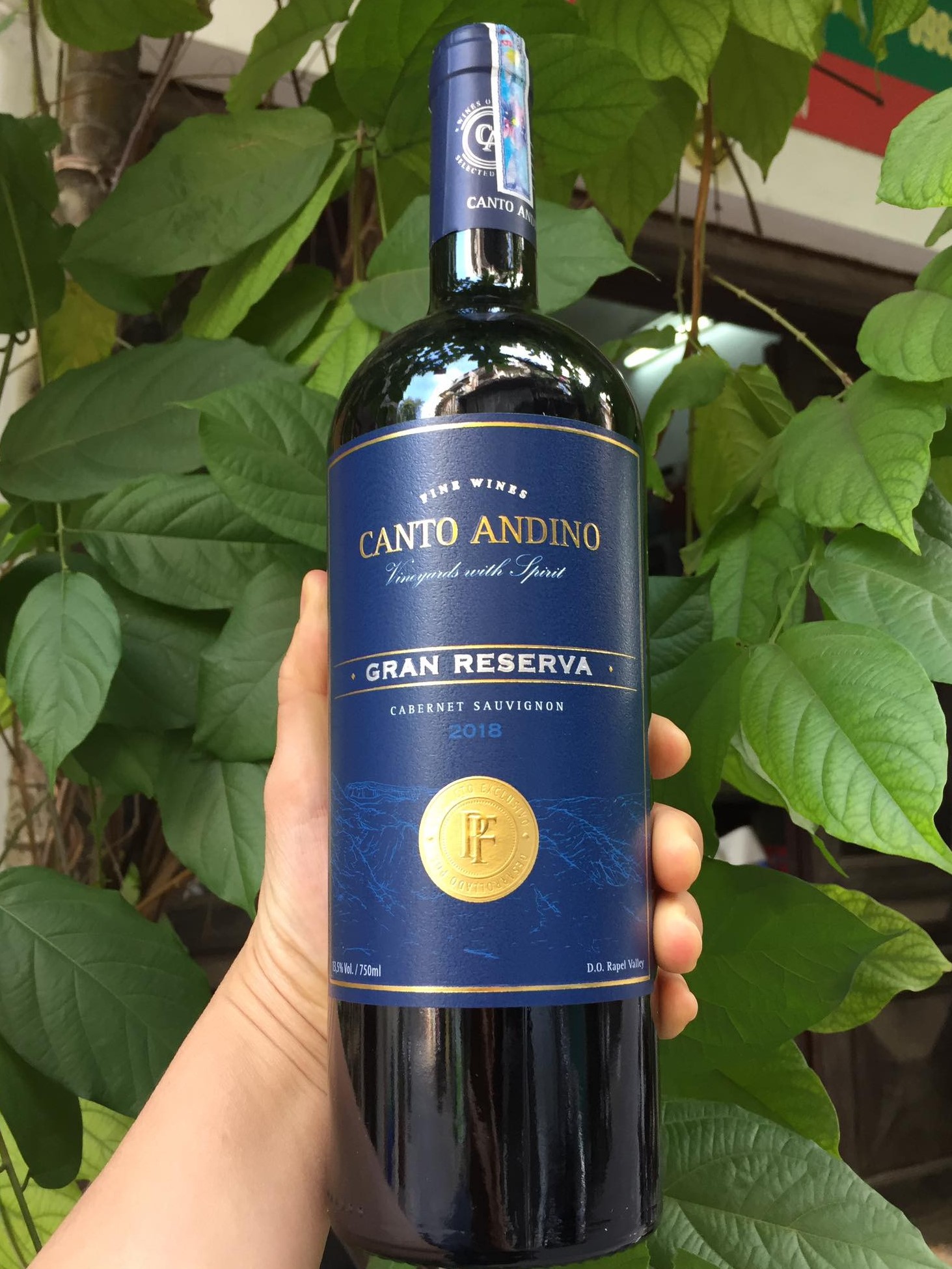 Rượu Vang Canto Andino Grand Reserve Cabernet Sauvignon