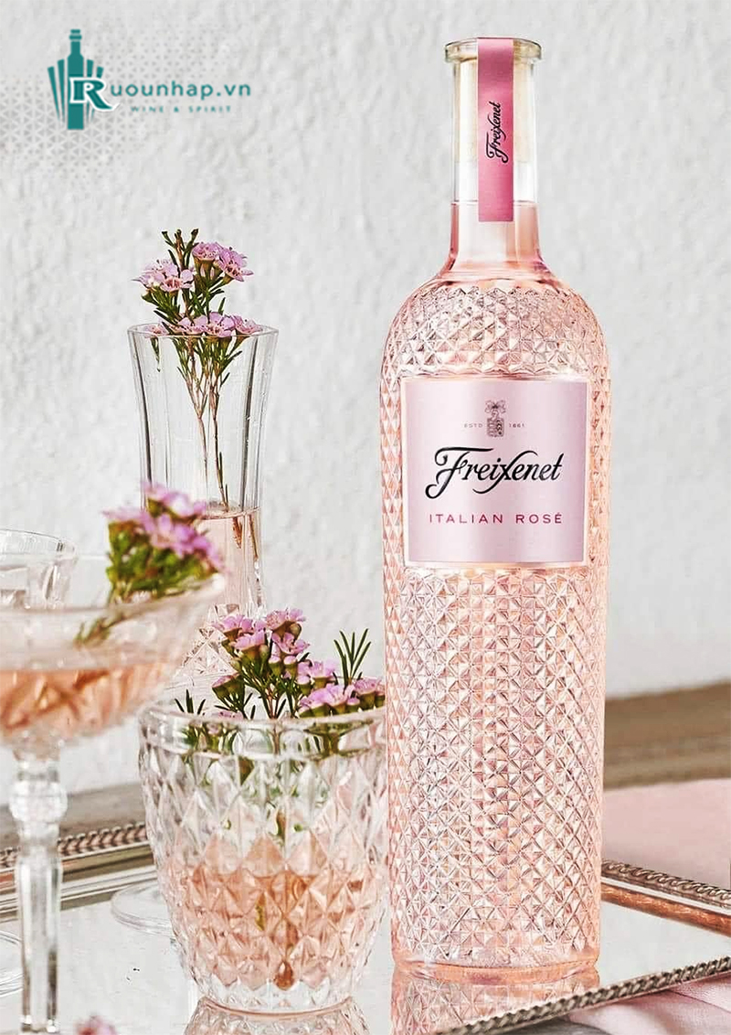 Rượu Vang Freixenet Rosato Veneto 6 Rượu Vang Freixenet Rosato Veneto