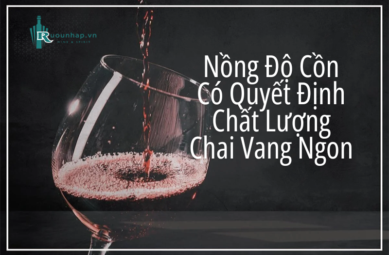 Nồng Độ Công Có Quyết Định Chất Lượng Chai Vang Ngon