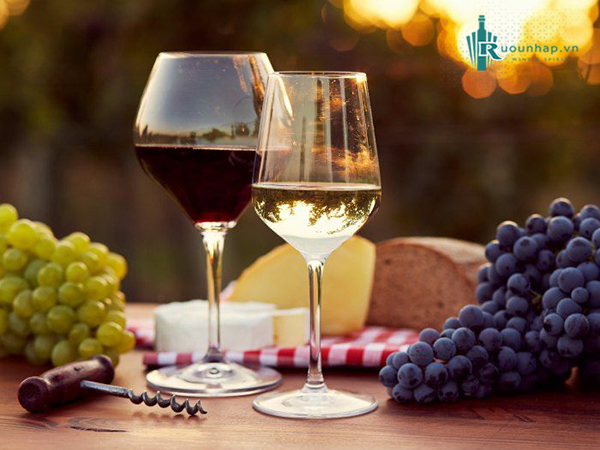 Rượu vang được làm từ những loại nho nào?