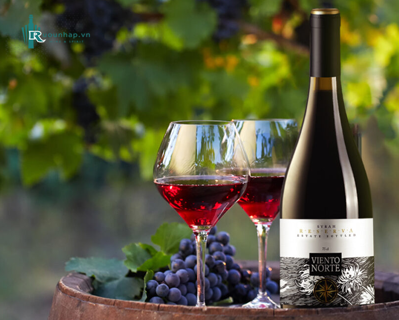 Rượu Vang Viento Norte Reserva Syrah