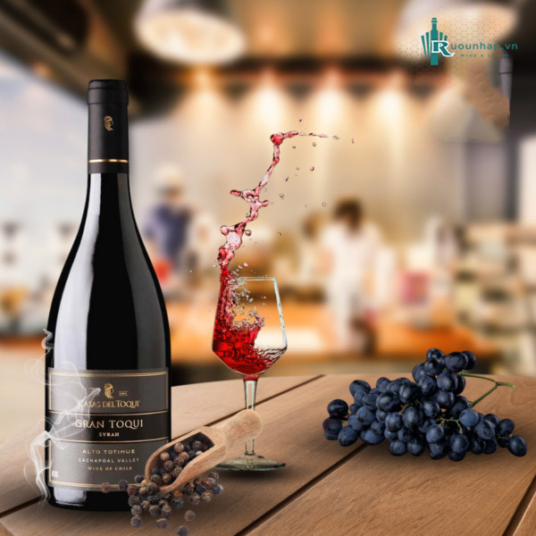 Rượu Vang Gran Toqui Syrah