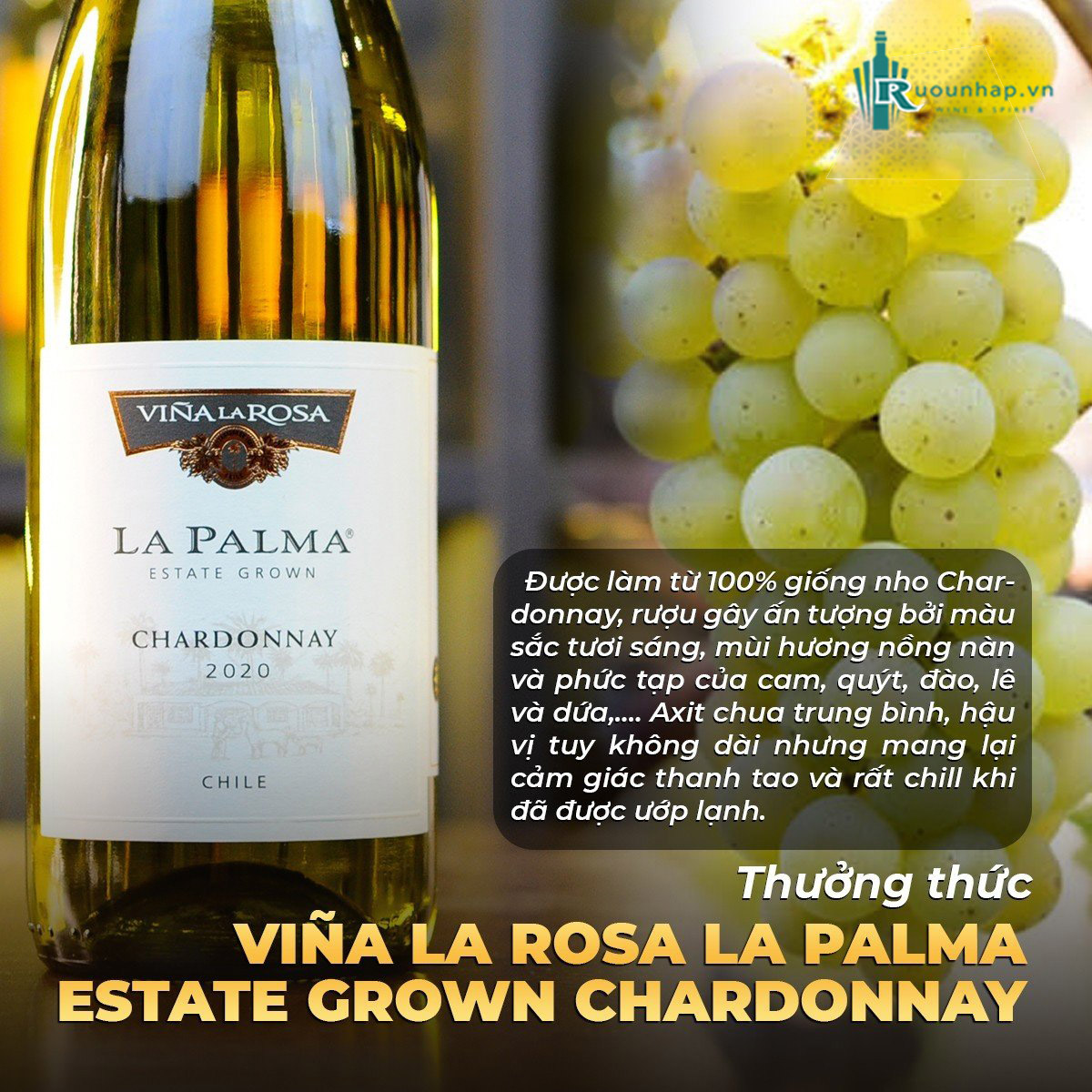 Rượu Vang La Palma Chardonnay