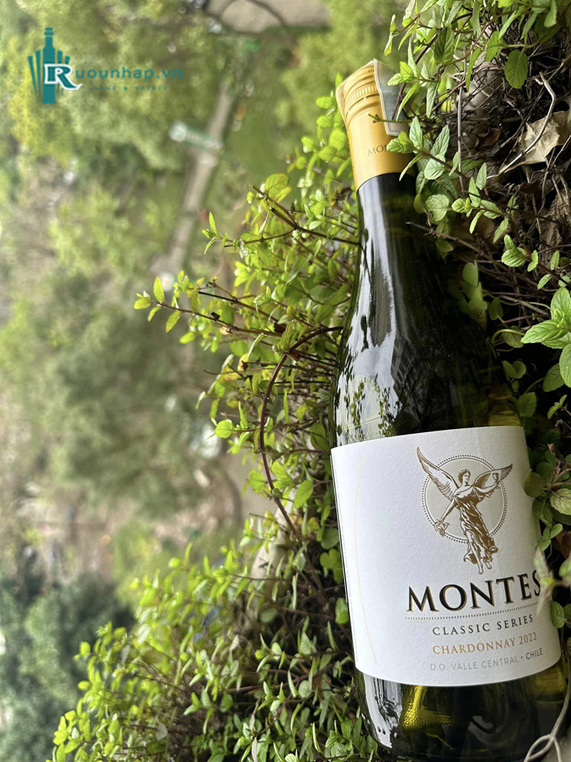 Rượu Vang Montes Classic Series Chardonnay