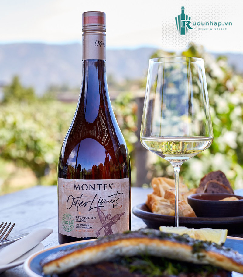 Rượu Vang Montes Outer Limits Sauvignon Blanc 6 Rượu Vang Montes Outer Limits Sauvignon Blanc