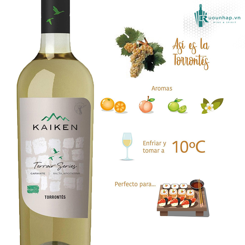 Rượu Vang Kaiken Terroir Series Torrontes