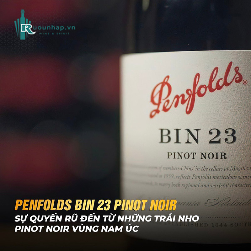 Rượu Vang Penfolds Bin 23 Pinot Noir