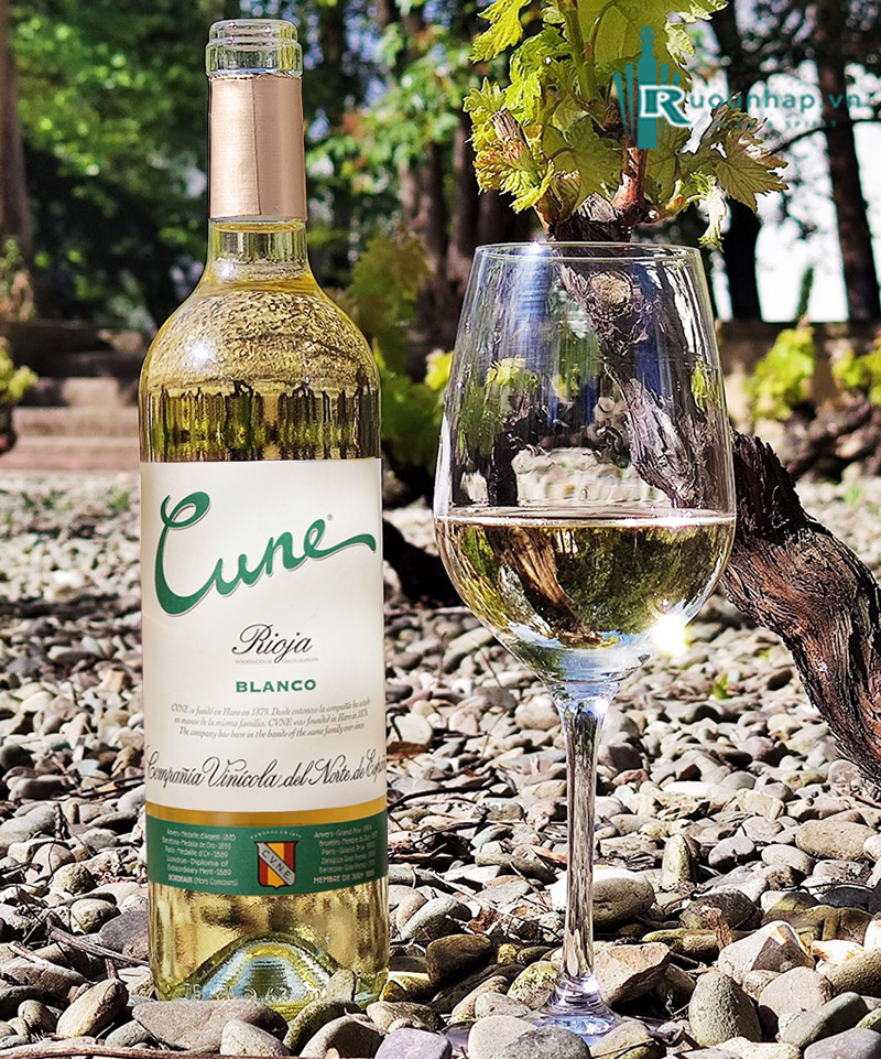 Rượu Vang Cune Rioja Blanco