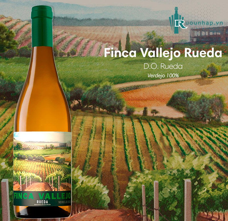 Rượu Vang Finca Vallejo Rueda