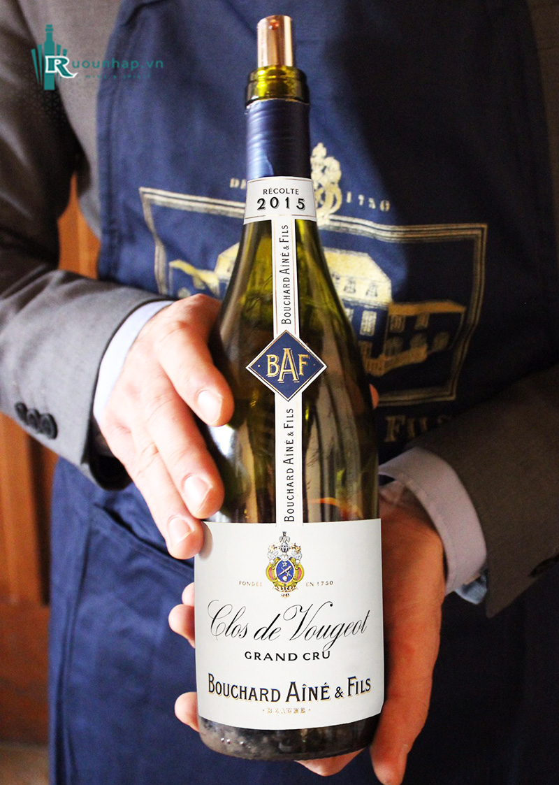 Rượu Vang Clos De Vougeot Grand Cru Bouchard Aine & Fils
