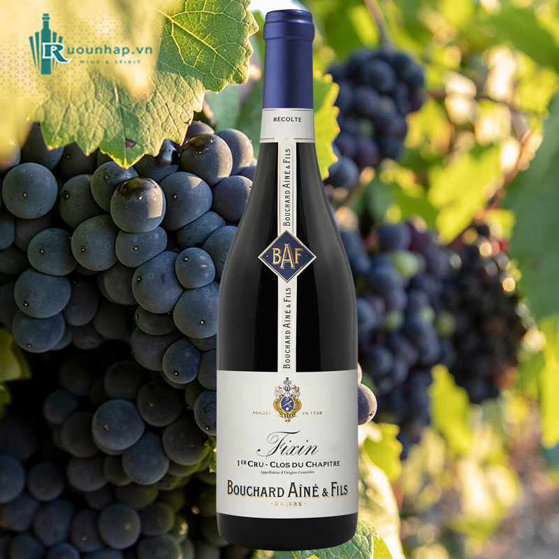 Rượu Vang Fixin 1er Cru Clos du Chapitre Bouchard Aine & Fils