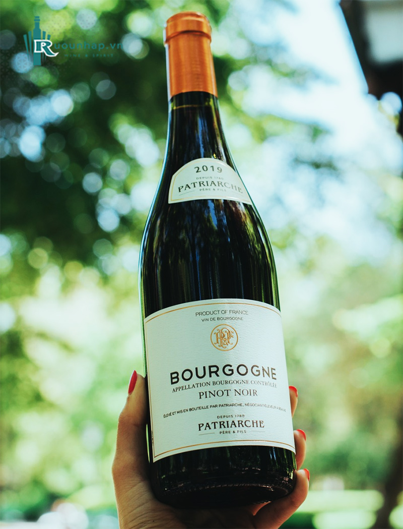 Rượu Vang Patriarche Bourgogne Pinot Noir