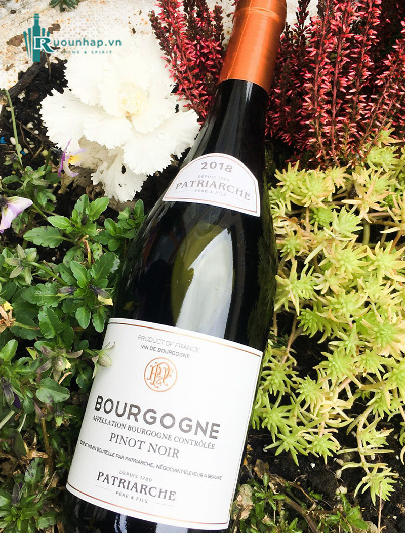 Rượu Vang Patriarche Bourgogne Pinot Noir