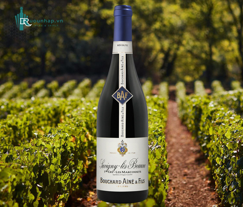 Rượu Vang Savigny les Beaune 1er Cru Les Marconnets Bouchard Aine & Fils