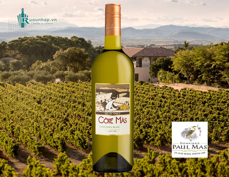 Rượu Vang Cote Mas Languedoc Blanc
