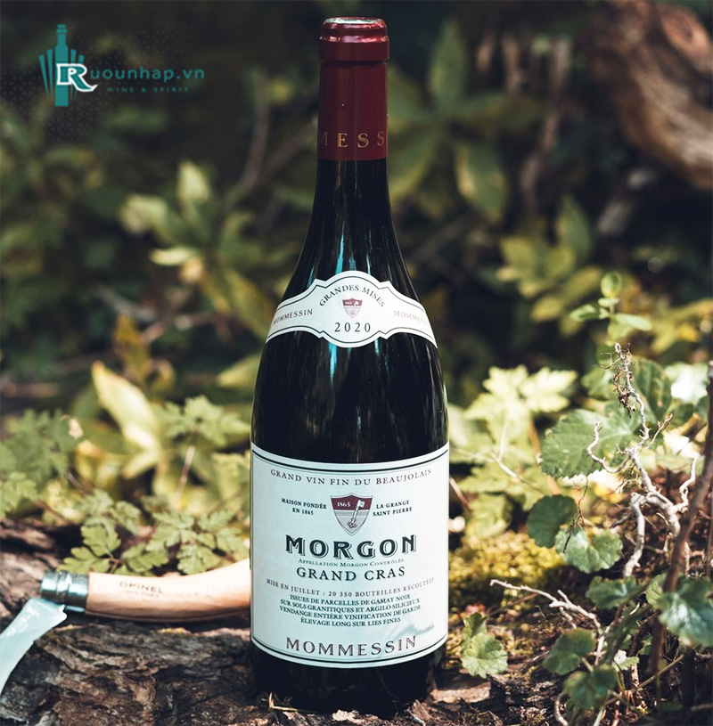 Rượu Vang Mommessin Morgon Grand Cras