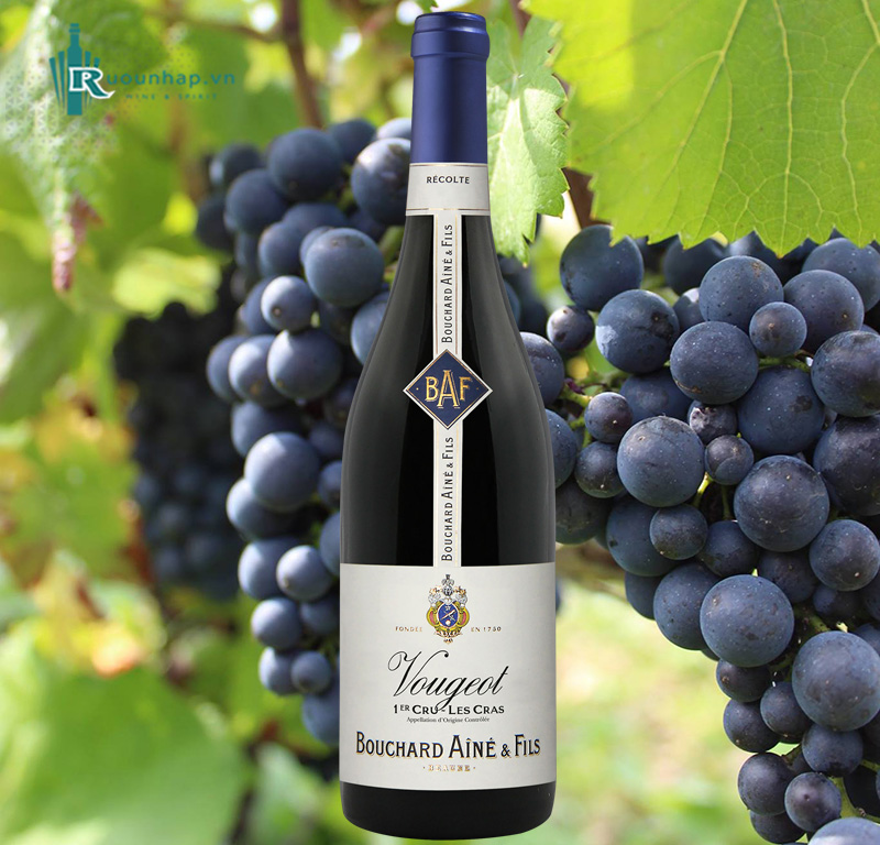 Rượu Vang Vougeot Premier Cru Les Cras Bouchard Aine & Fils là dòng rượu vang đỏ cao cấp đến từ vùng đất danh giá Côte de Nuits thuộc Bourgogne, Pháp.
