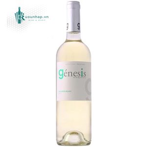 Rượu Vang Genesis Sauvignon Blanc
