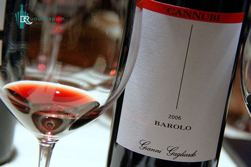 Rượu Vang Gianni Gagliardo Barolo Riserva Cannubi