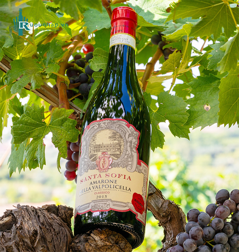 Rượu Vang Santa Sofia Amarone Classico Riserva