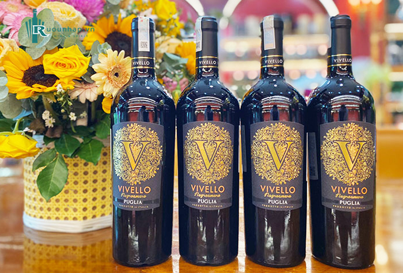 Rượu Vang Vivello Negroamaro Puglia