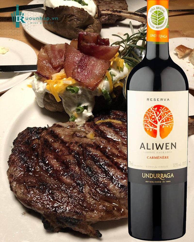Rượu Vang Aliwen Reserva Carmenere