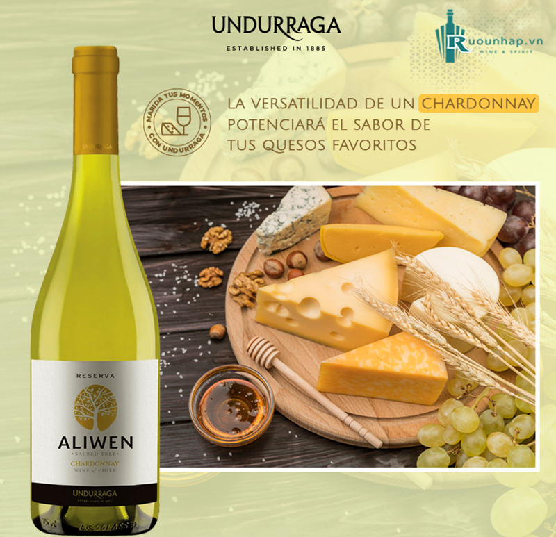 Rượu Vang Aliwen Reserva Chardonnay