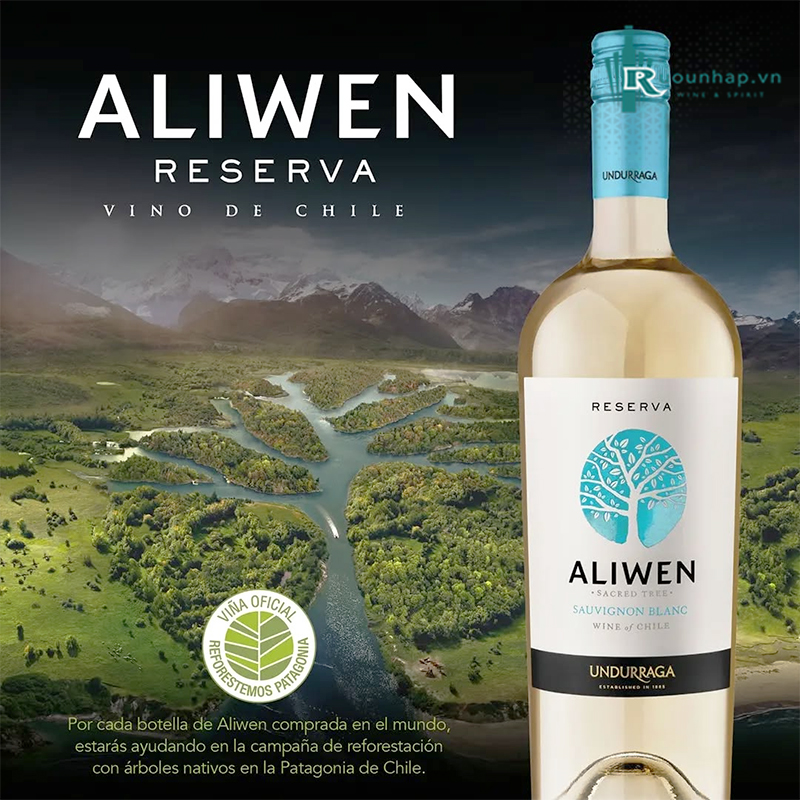 Rượu Vang Aliwen Reserva Sauvignon Blanc