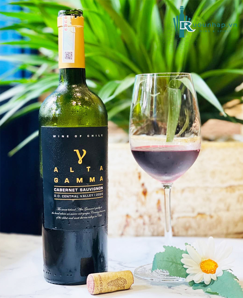 Rượu Vang Alta Gamma Cabernet Sauvignon