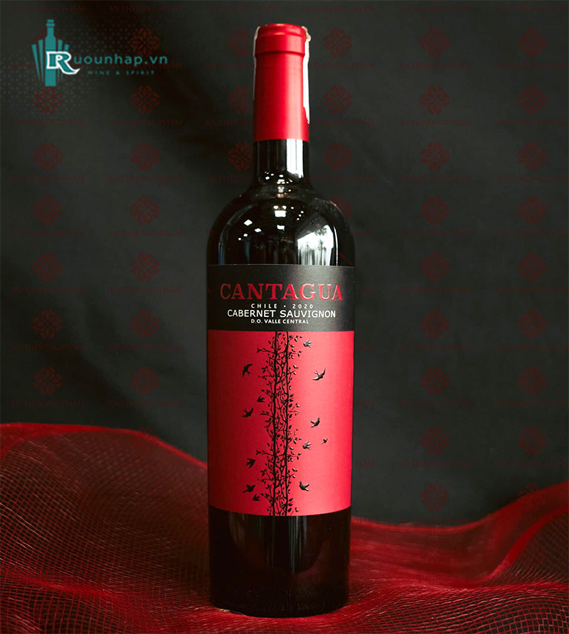 Rượu Vang Cantagua Cabernet Sauvignon
