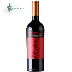 Rượu Vang Cantagua Cabernet Sauvignon
