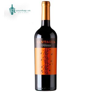 Rượu Vang Cantagua Carmenere