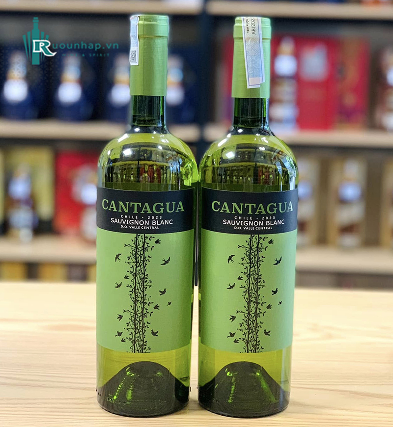 Rượu Vang Cantagua Sauvignon Blanc