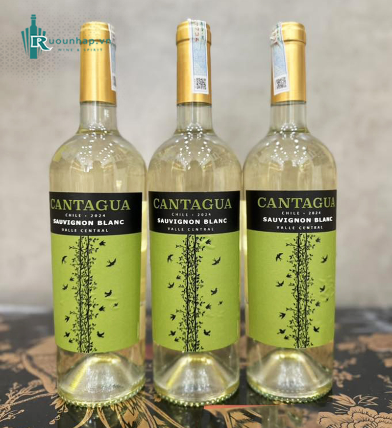 Rượu Vang Cantagua Sauvignon Blanc